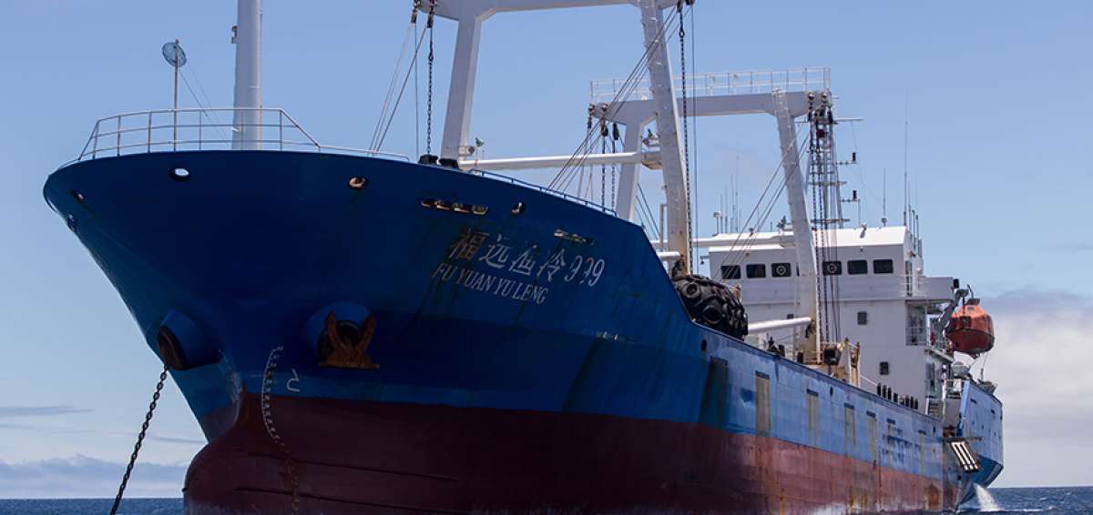 Los 20 tripulantes de barco chino cumplir&aacute;n pena en centro de rehabilitaci&oacute;n de Portoviejo