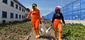 Los internos se rehabilitan con emprendimientos