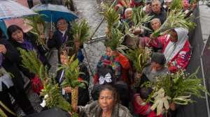 Decenas de fieles se unieron a la procesi&oacute;n de ramos. Foto: Miguel Jim&eacute;nez / El Tel&eacute;grafo 