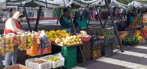 La primera de estas ferias se desarrollar&aacute; el pr&oacute;ximo 28 de mayo en la avenida Rodrigo de Ch&aacute;vez y calle Galte