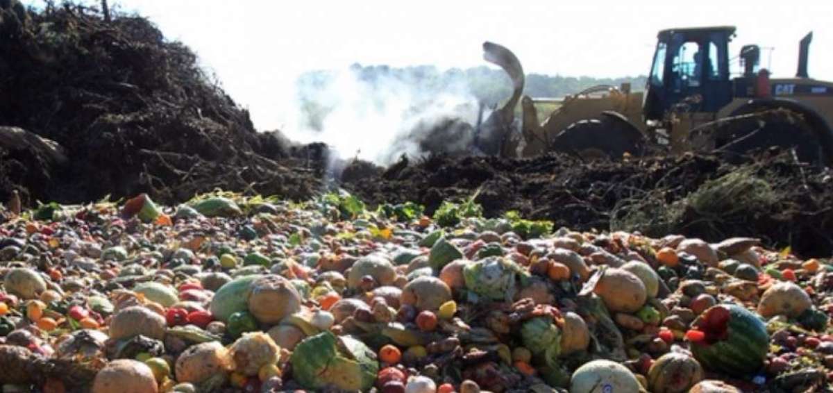 En todo el mundo, la p&eacute;rdida alcanza a 1.300 millones de toneladas al a&ntilde;o, casi un tercio de los alimentos producidos para el consumo humano.