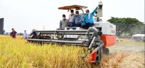 Nuevas variedades de arroz con gen&eacute;tica de alto rendimiento present&oacute; el Iniap