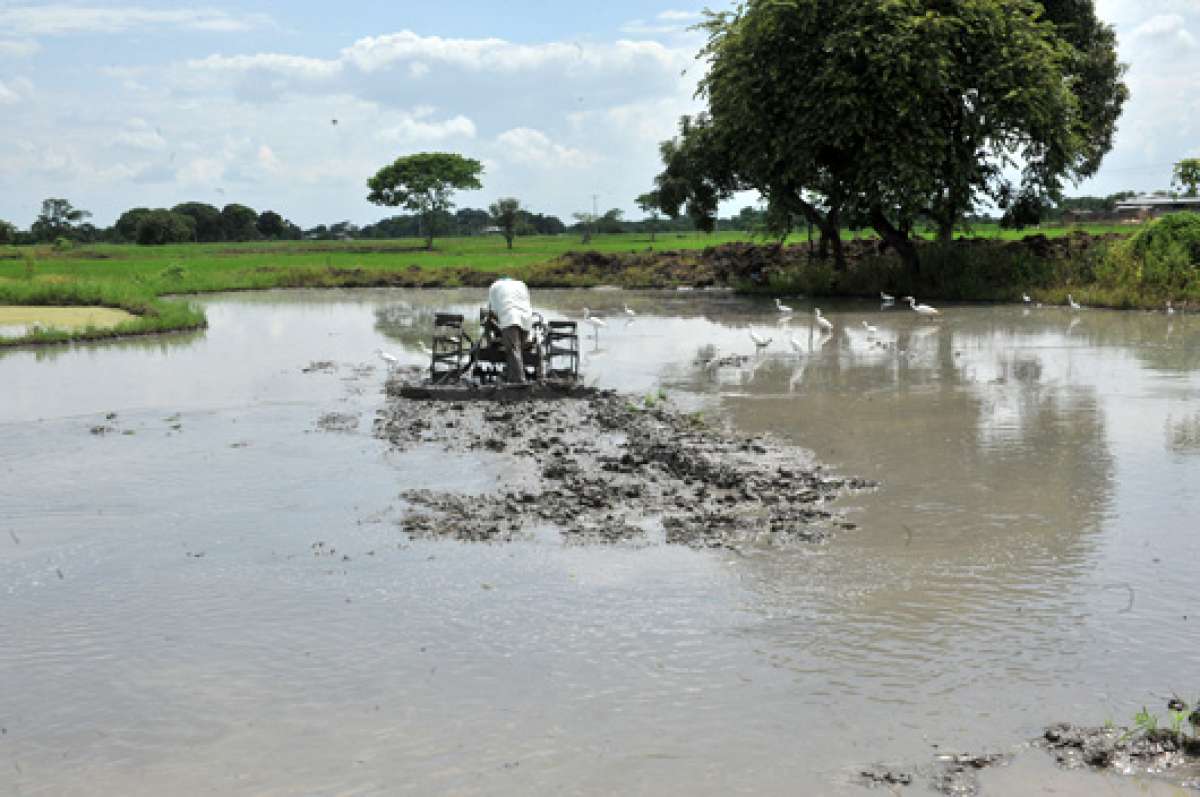 La tecnolog&iacute;a cambi&oacute; el estilo de vida del Cabuyal