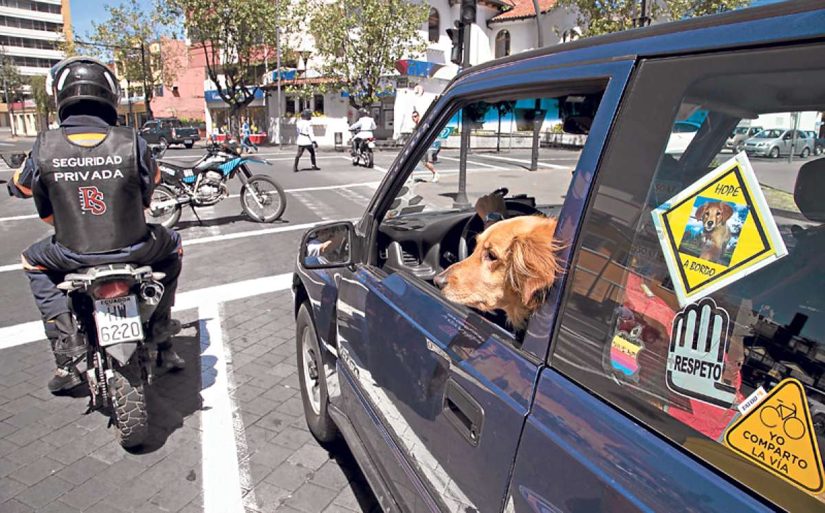La capital y sus peludos vecinos