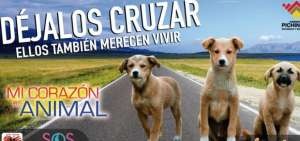 Imagen del afiche promocional