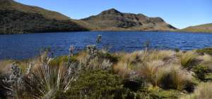 Las lagunas del Cajas son las que abastecen de agua para el consumo de los cuencanos. El Municipio comprar&aacute; m&aacute;s terrenos en este lugar.