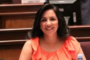 El sector privado no tendr&aacute; participaci&oacute;n en comit&eacute;