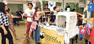 Amigos con Cola, Yo Amo Animales, Refugio Pana, y Rescate Animal tuvieron sus stands para ofrecer diversos art&iacute;culos y recaudar fondos.