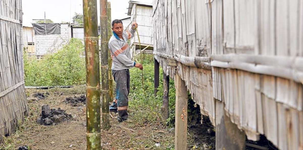 Los residentes de Monte Sina&iacute; construyen barreras de ca&ntilde;a para que resten fuerzas a las correntadas. Foto: Miguel Castro / El Tel&eacute;grafo