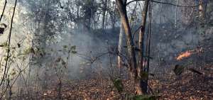 El cerro Bonce, en Santa Ana, fue uno de los m&aacute;s afectados en 2016 por los incendios forestales en Manab&iacute;. 