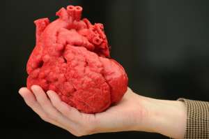 Los &oacute;rganos ahora se imprimen