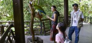 Los menores que visitaban el parque quedaban asombrados por los colores de las plumas de  Tom&aacute;s.