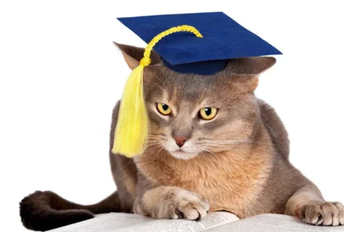 La joven subi&oacute; al escenario junto a su gata para recibir su t&iacute;tulo universitario.