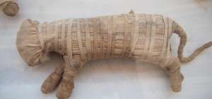 Los felinos eran muy importantes en el Antiguo Egipto, sobre todo los gatos, que eran considerados dioses.