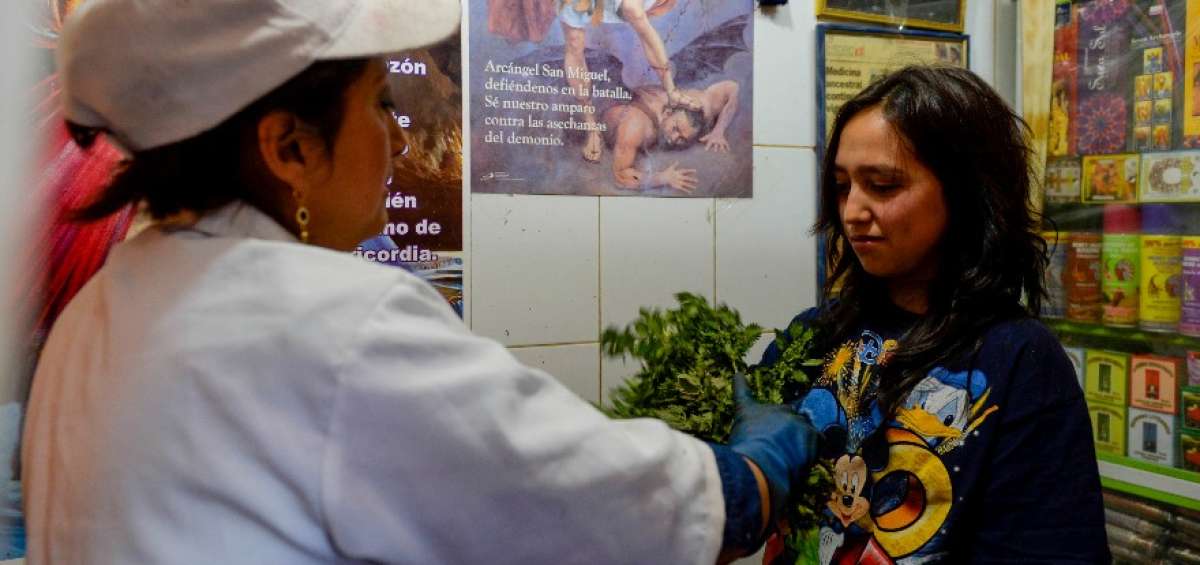 Alexandra Analuisa (izq.) es la heredera de los conocimientos de medicina ancestral que practica desde hace d&eacute;cadas su madre, Nelly Pichucho.