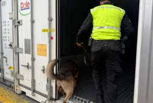 40 bloques de droga fueron incautados en un contenedor en Posorja.