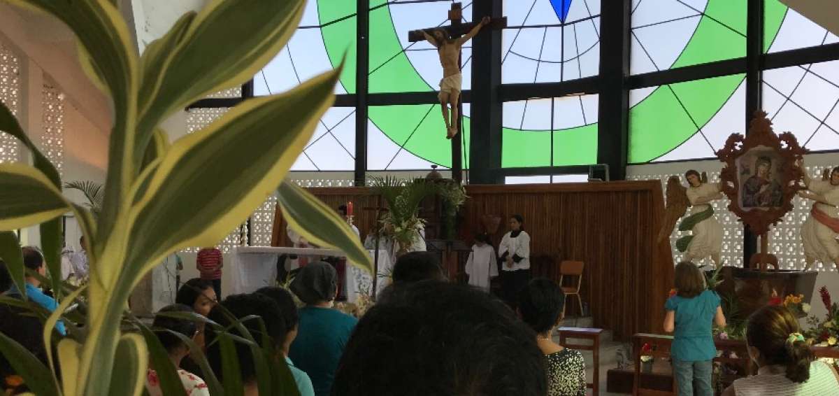Feligreses optaron por bamb&uacute; y otras plantas en Domingo de Ramos