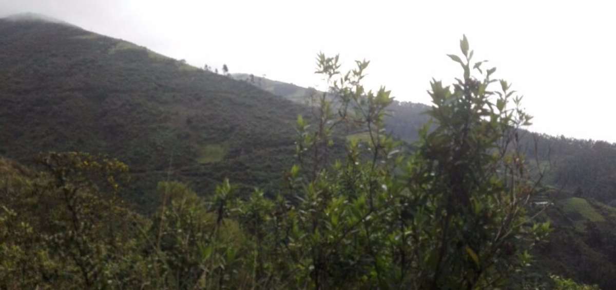 Localizados los 10 excursionistas extraviados en el cerro Ungui
