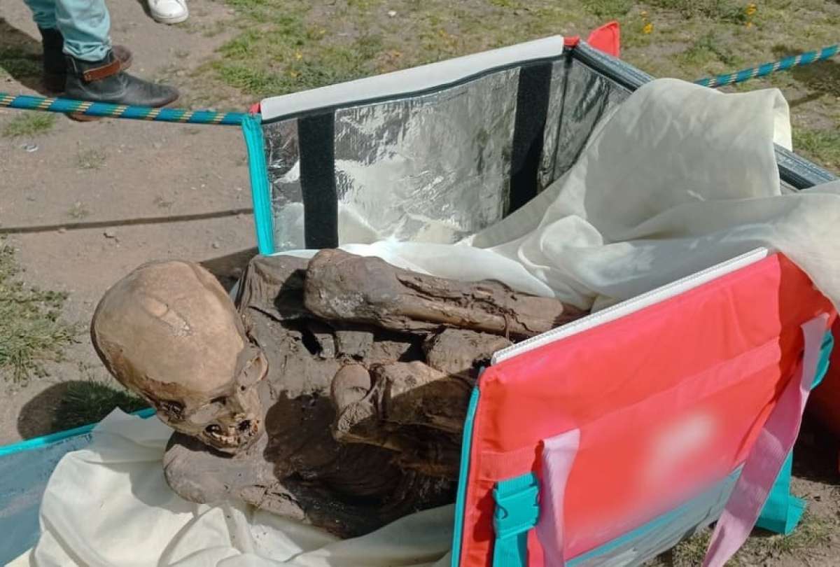 Eneucntran una momia en la bolsa de un repartidor de comida en Perú