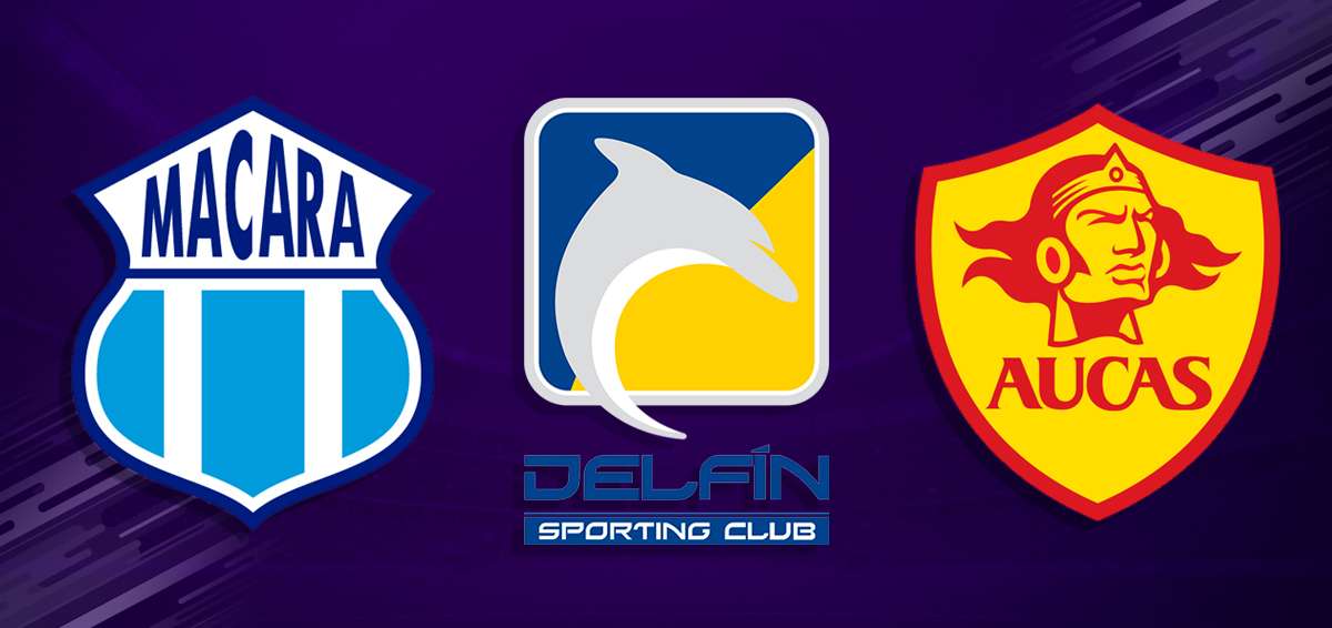 Macar&aacute;, Delf&iacute;n y Aucas disputar&aacute;n, desde este s&aacute;bado 30 de noviembre de 2019, las semifinales de la LigaPro.