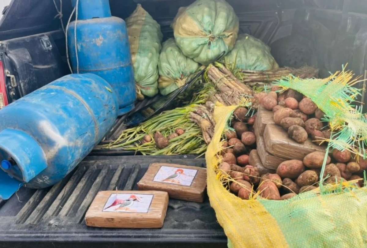 Hallan 40 kilos de droga ocultos en papas en Carchi y detienen a un sospechoso.