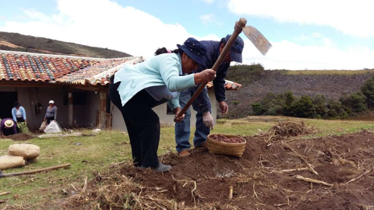 De acuerdo al Magap, hay aproximadamente 2,9 millones de mujeres que trabajan en el campo en Ecuador. Foto: cortes&iacute;a