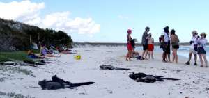 Turistas deber&aacute;n cumplir con nuevos requisitos para entrar a Gal&aacute;pagos