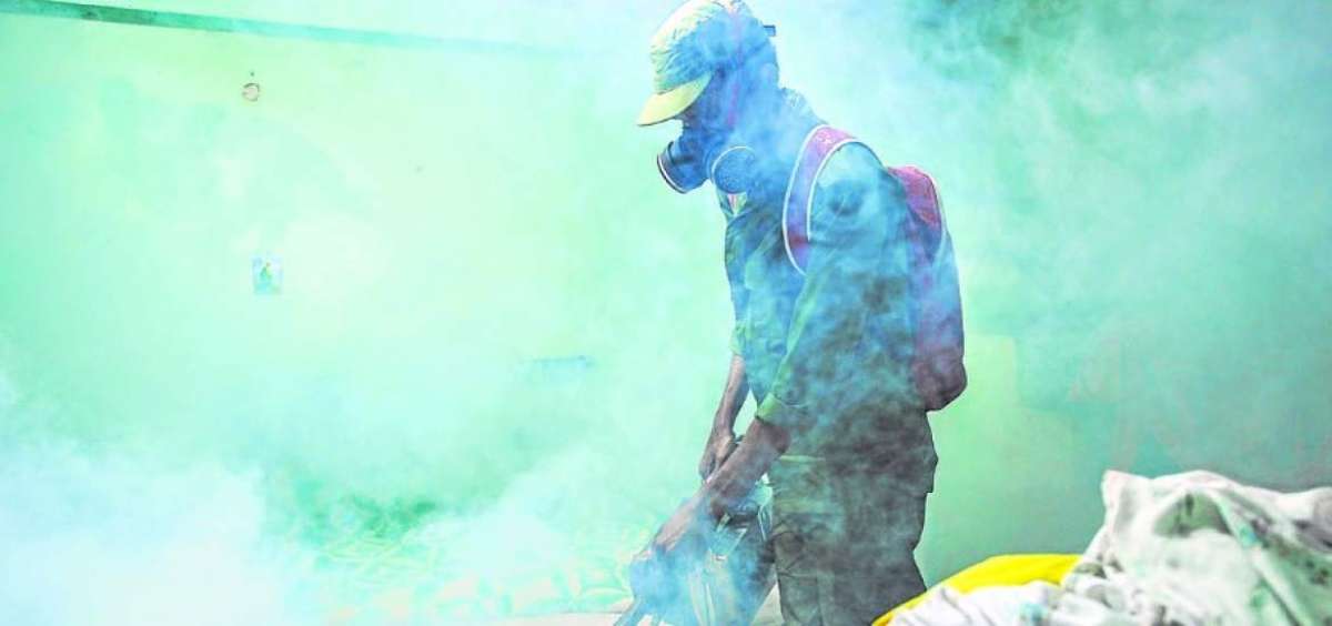Adem&aacute;s del uso de insecticidas, la OMS recomienda seguir con las fumigaciones masivas y la limpieza de criaderos de los mosquitos transmisores del zika.