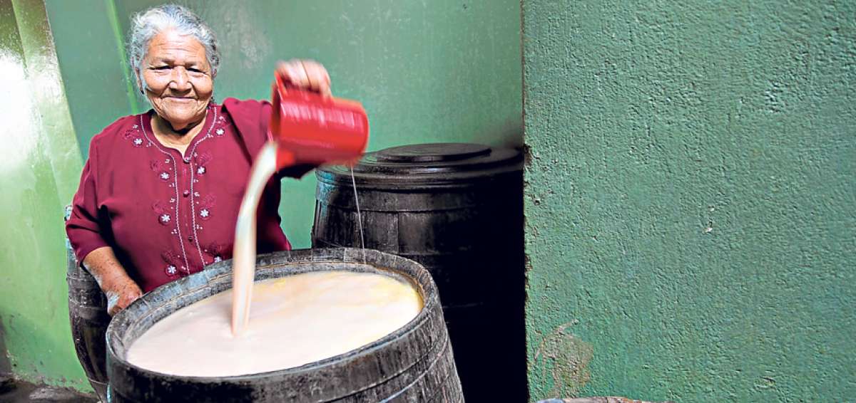 El modesto local se convirti&oacute; en un lugar infaltable para los otavale&ntilde;os porque ten&iacute;an su chicha, acompa&ntilde;ada por tortillas de papa, mote y fritada.