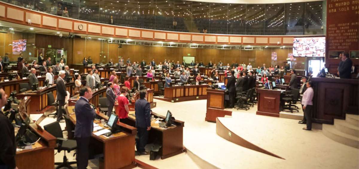 Asamblea limitar&aacute; al Consejo de Participaci&oacute;n