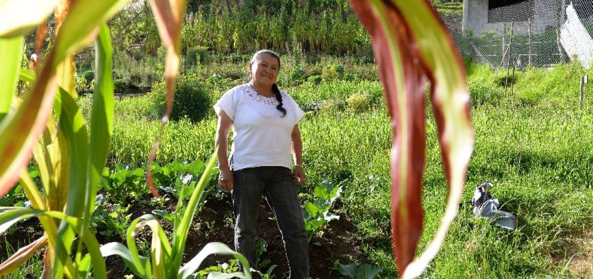 L&iacute;der rural sembr&oacute; la 'libertad' en las mujeres de San Antonio de Gapal