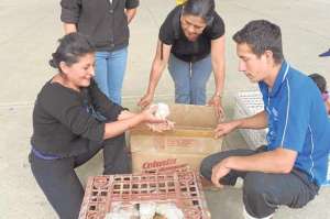 Las amas de casa laboran en huertos