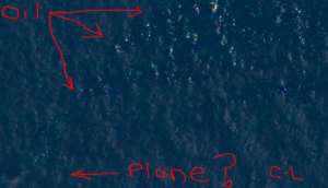 Courtney Love cree haber encontrado el avi&oacute;n de Malasia