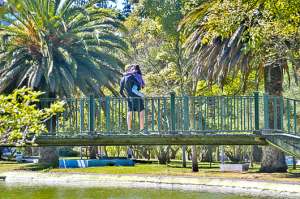Parques, espacios de convivencia (Galer&iacute;a)