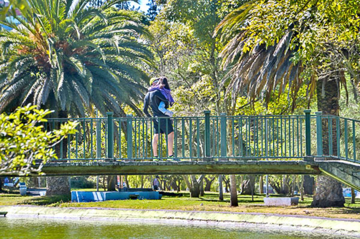 Parques, espacios de convivencia (Galer&iacute;a)