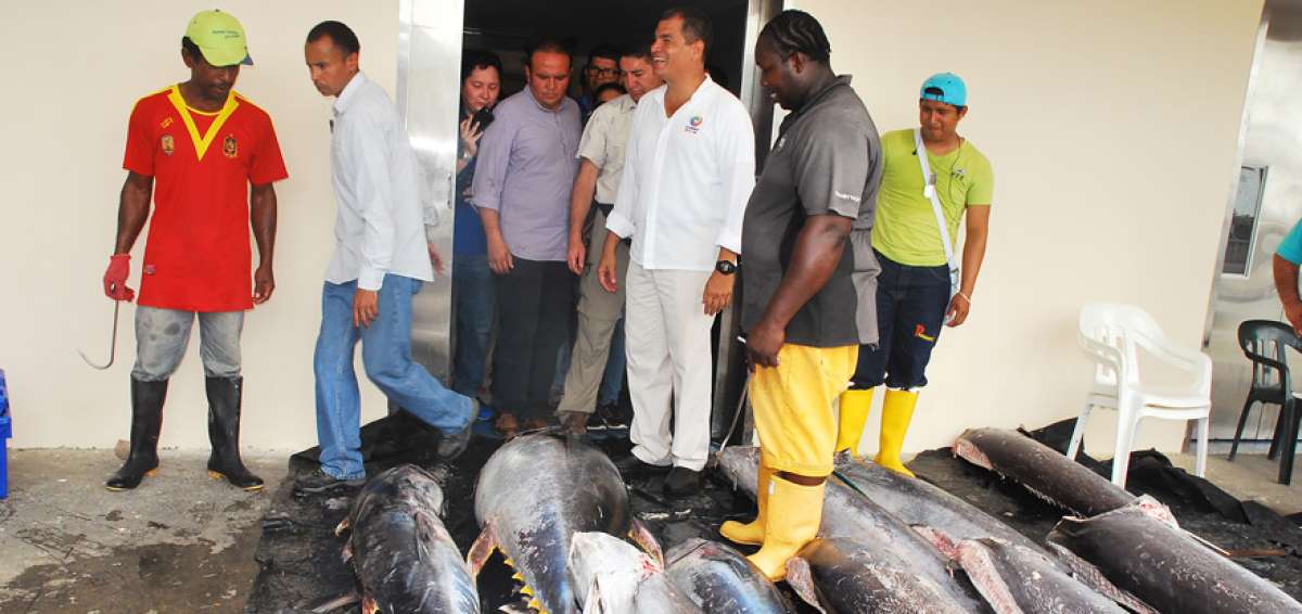 El presidente Rafael Correa recorri&oacute; las instalaciones del puerto de pesca artesanal de Esmeraldas que beneficiar&aacute; a los habitantes de la zona.
