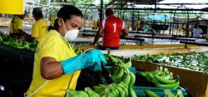 Exportaciones ecuatorianas logran tarifas preferenciales en Medio Oriente