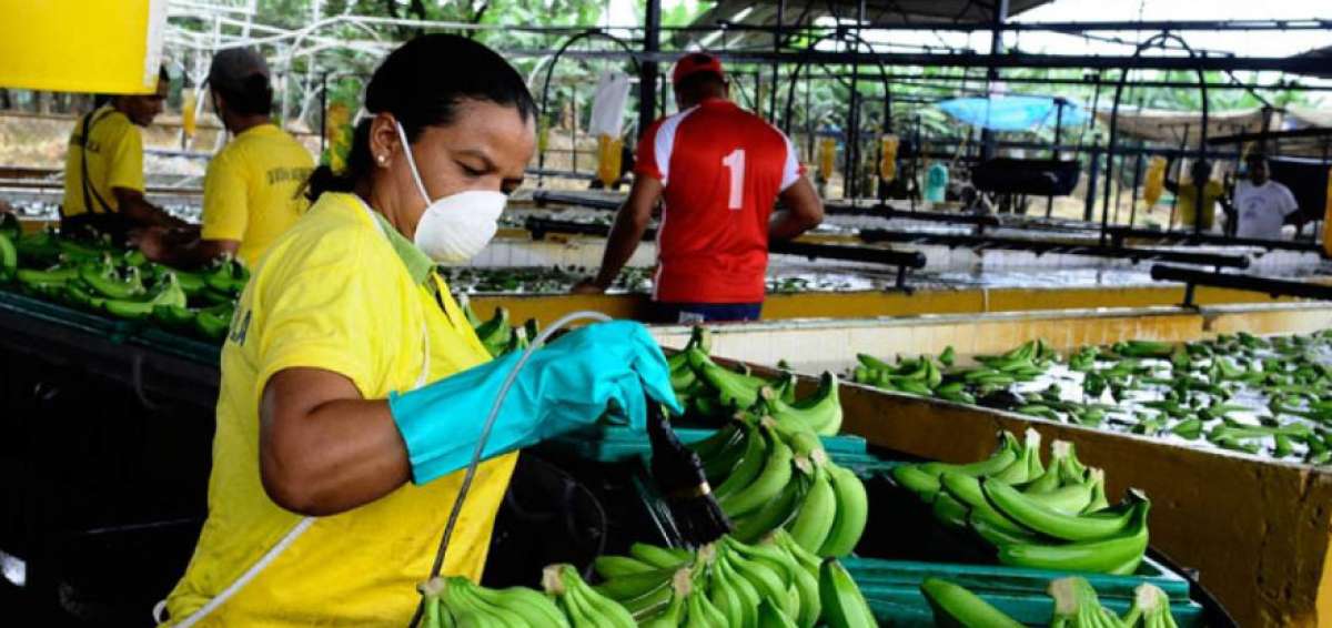 Exportaciones ecuatorianas logran tarifas preferenciales en Medio Oriente