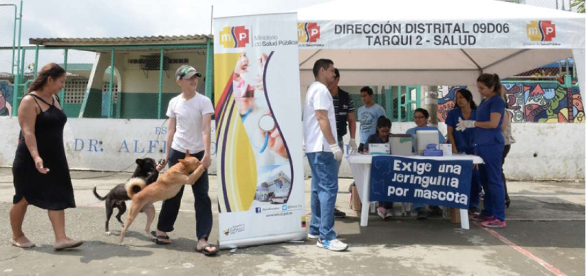 Campa&ntilde;a nacional de vacunaci&oacute;n de mascotas culmina el pr&oacute;ximo viernes