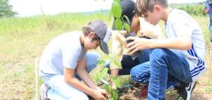 Las esencias de las plantas ayudan a mejorar estilos de vida
