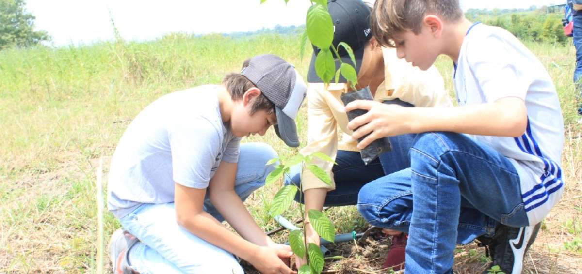 Las esencias de las plantas ayudan a mejorar estilos de vida