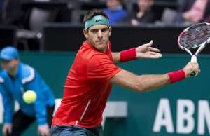 Juan Mart&iacute;n Del Potro no juega la Copa Davis con Argentina desde septiembre del 2012. Foto: Archivo