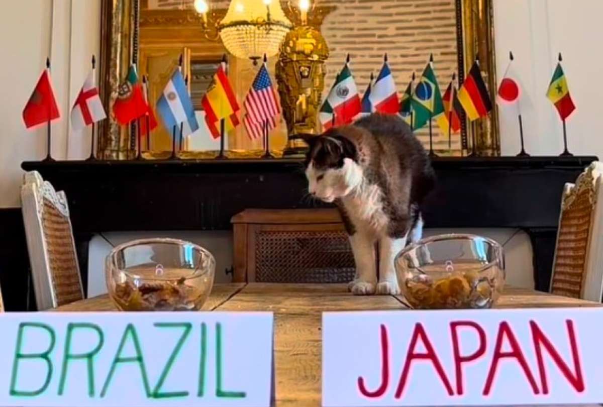 Nimbus Pronos volvi&oacute; a elegir a sus favoritos para los pr&oacute;ximos partidos del Mundial 2026