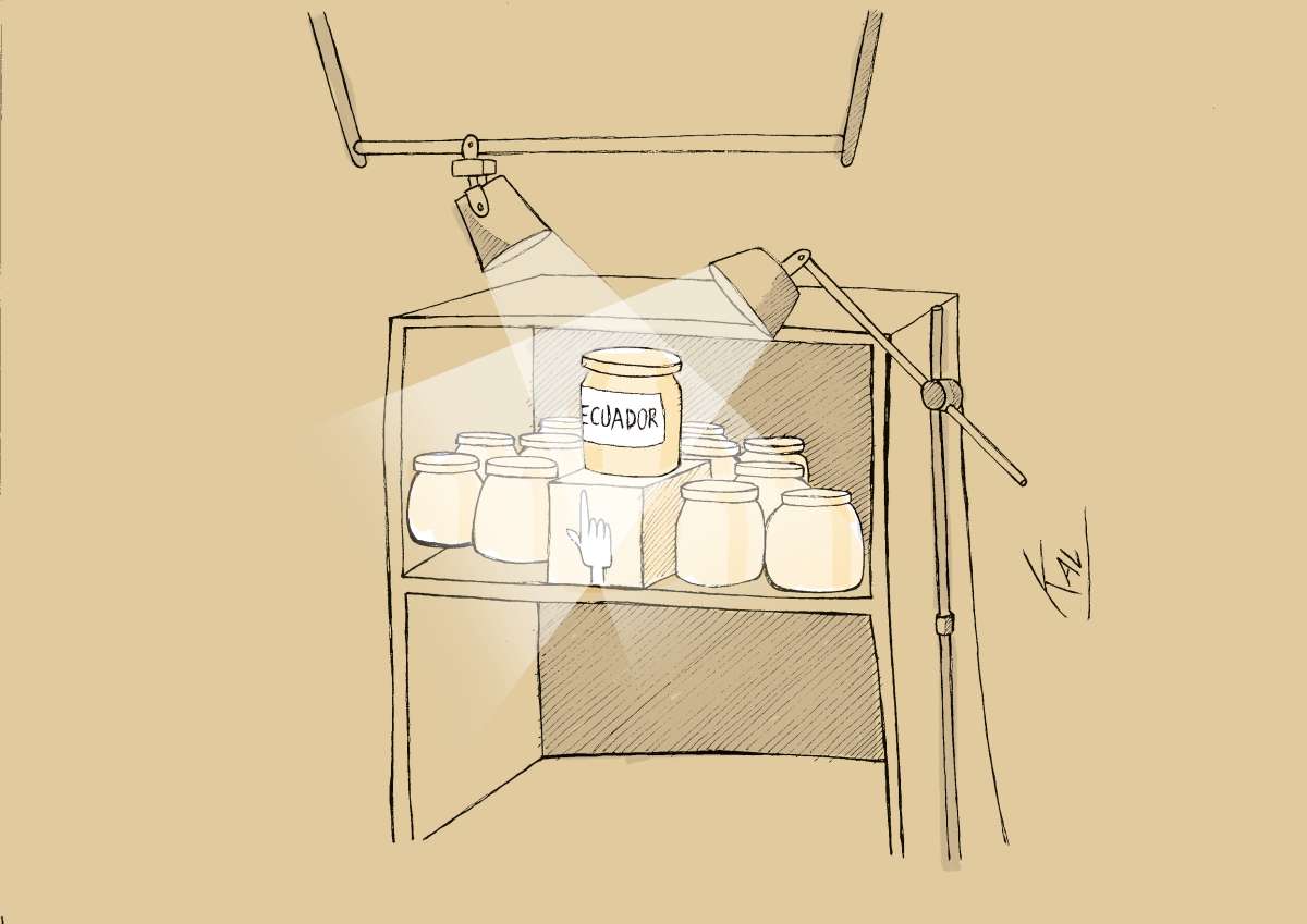  Lo ecuatoriano necesita una oportunidad del consumidor