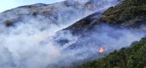 Incendio forestal en Papallacta fue controlado