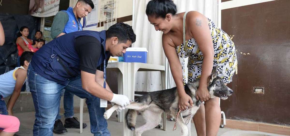 En el Centro de Salud Monte Sina&iacute; los due&ntilde;os llevan a sus mascotas para que reciban la vacuna gratuita.
