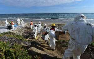 Decenas de voluntarios ayudan con la limpieza de la playa de Santa B&aacute;rbara. FOTO: AFP 