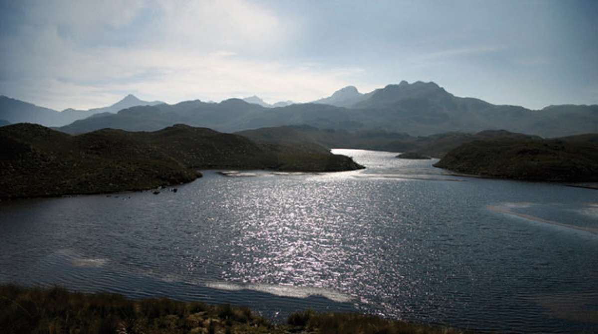 A partir del mes de enero se estima iniciar con la recolecci&oacute;n de muestras, afirm&oacute; la investigadora Henrietta Hampel, directora del proyecto. Foto: cortes&iacute;a