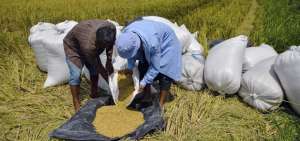 Muchos de los cr&eacute;ditos de la banca p&uacute;blica permitieron que los agricultores mejoren sus cultivos. 