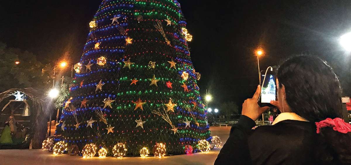 Mar&iacute;a Conforme toma foto del &aacute;rbol de 17 metros, ubicado en el sector denominado Parque de las Banderas, de Manta.